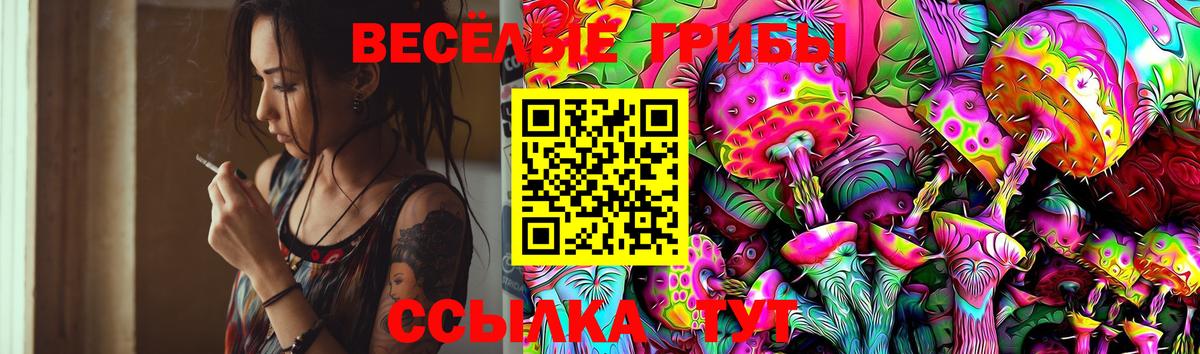 Псилоцибиновые грибы Magic Shrooms  Галлюциногенные грибы мицелий  Шебекино  Вход с VPN 