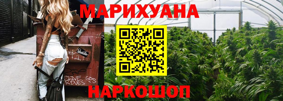 Каннабис план Шебекино