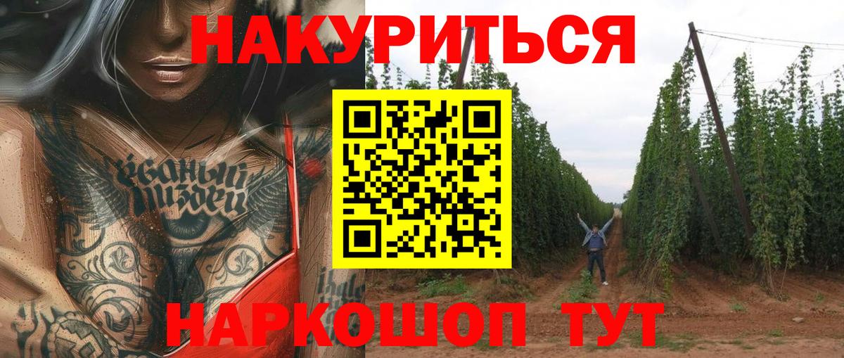 Шебекино  Шишки марихуана SATIVA & INDICA  Вход с VPN  Шишки марихуана планчик  Бошки марихуана OG Kush 